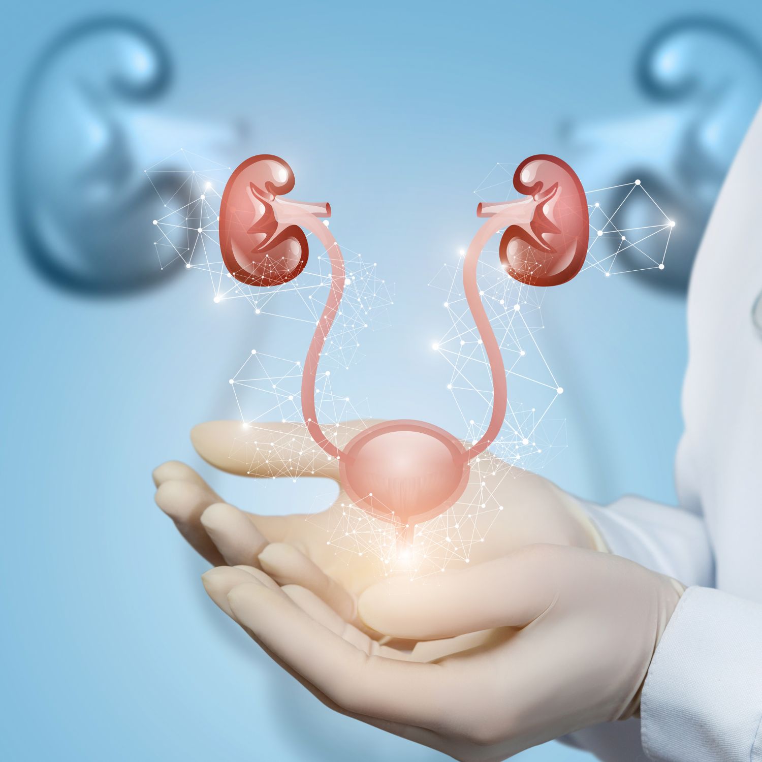 An image of a cartoon bladder being held by a doctor.