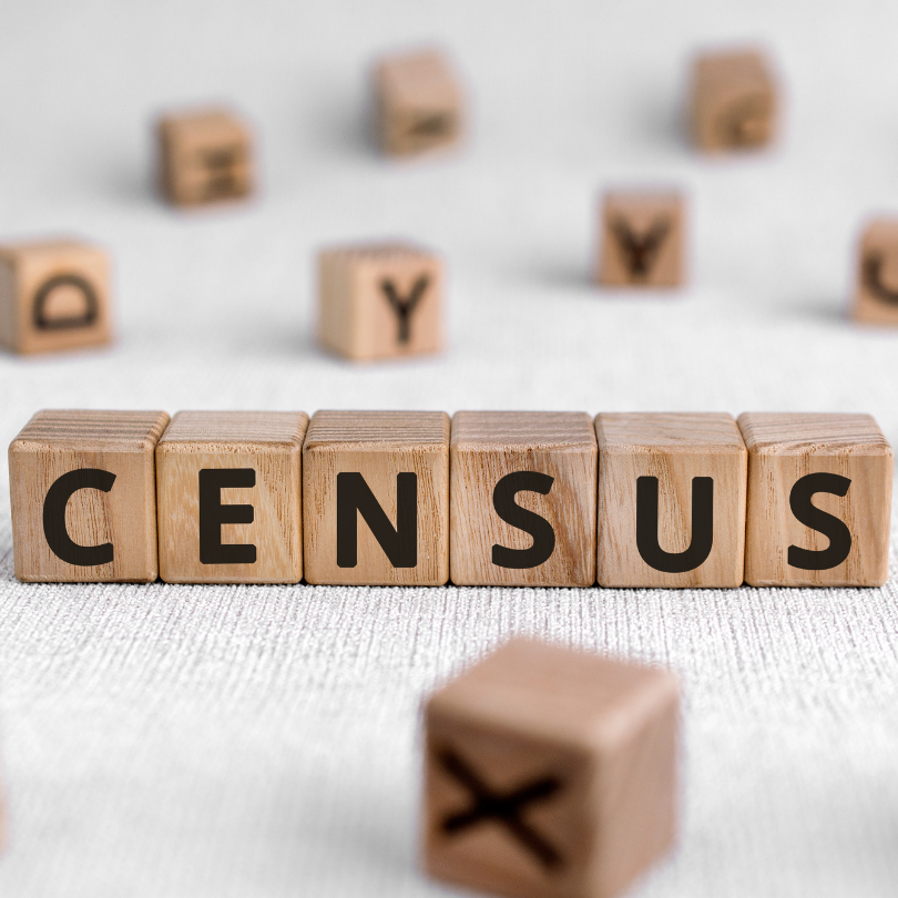 a group of wooden blocks lined up that spell out the word CENSUS